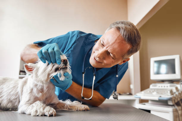 Best Emergency Gum Treatment in Olivet, MI